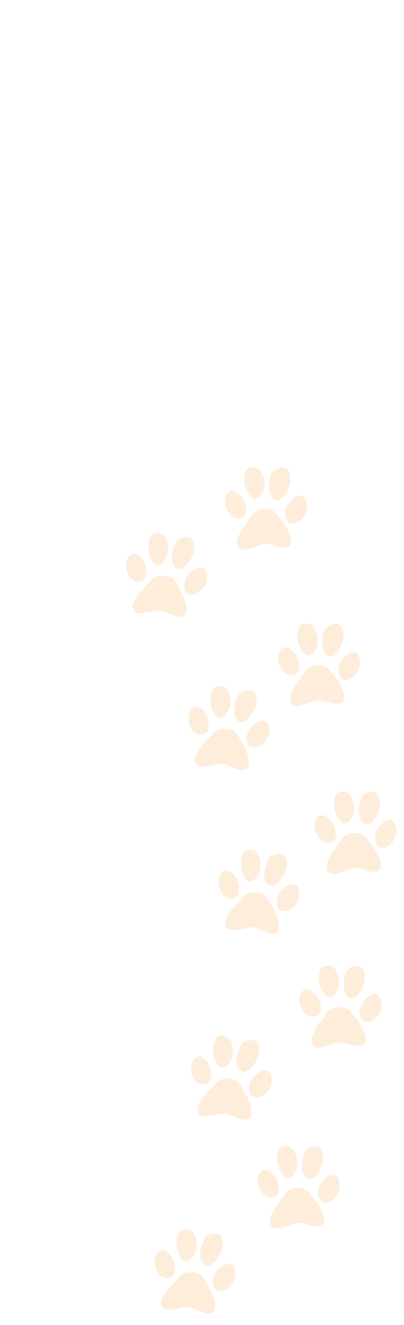 Cat paw prints orange white-med Cat Paw Prints Orange White Med cat problems & solutions